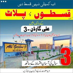 Read more about the article Own Your Dream Plot with MZ Property – 9 Marla Plots on Easy Daily Installments!